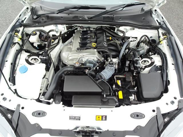 0207626A30251018W00202.jpg