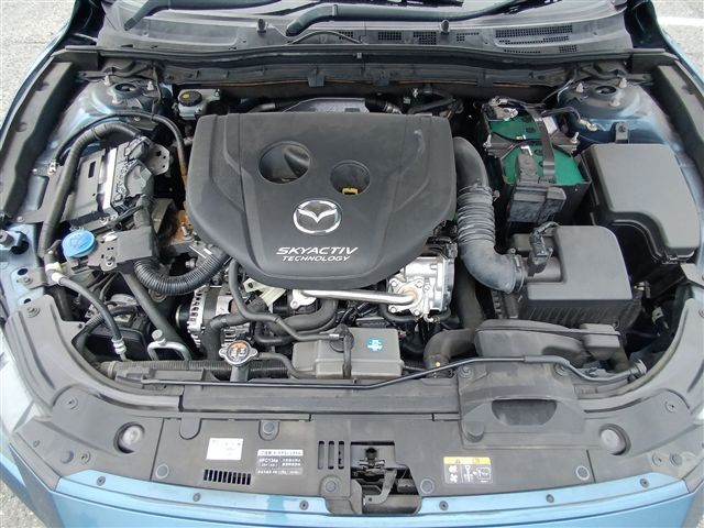 08.jpg