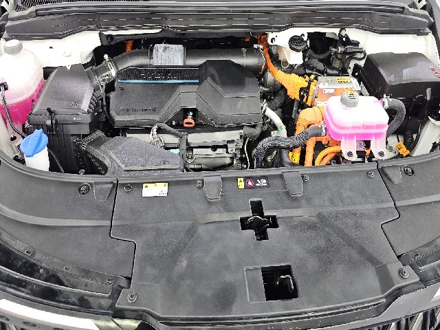 45c92e12680c71aaaa0852edc76a7979.jpeg