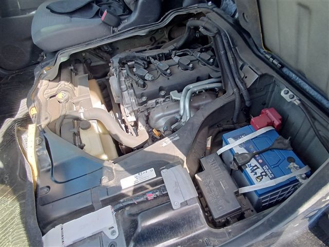 08.jpg