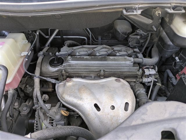 08.jpg