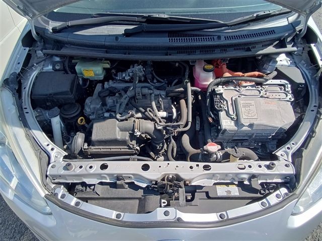 08.jpg
