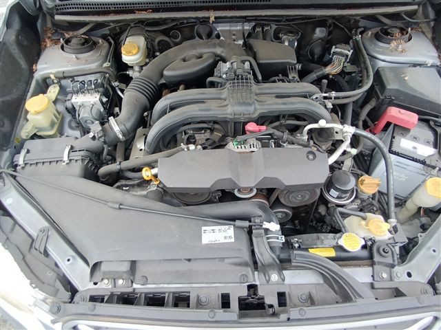 08.jpg