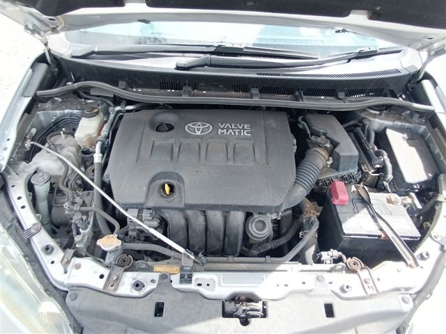 08.jpg