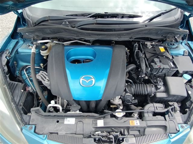 08.jpg