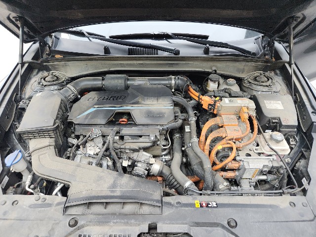 lotterental_170247249_oMQFe_2.jpg