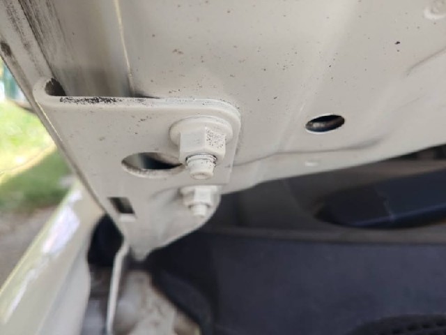 b20135e309f30b787e73752774f8463b.jpeg