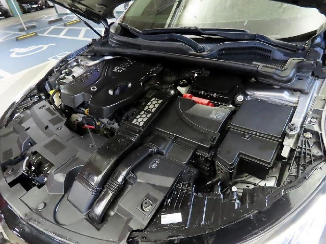 738b559e97739038b62db4b47ccd6764.jpeg