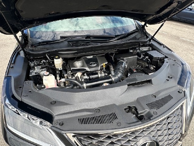 81b2003ec8916e8dc6f6ac69a8cb3408.jpeg