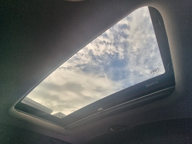 b771e2172d4b9ea69a0d83744d6ce6f2.jpeg