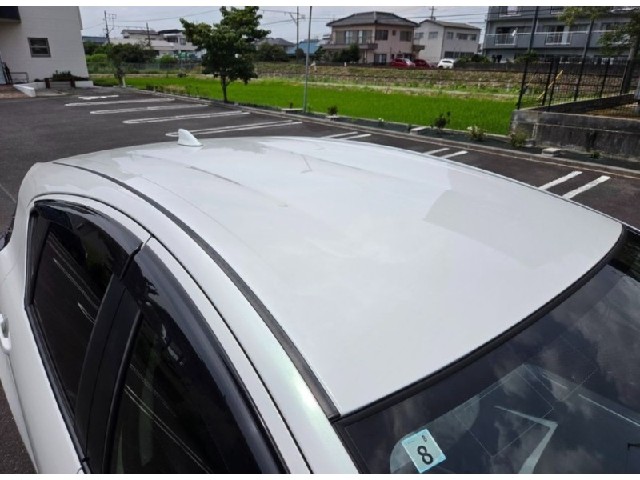 3224c01cae1b34c33bc9ec6e67a6308a.jpeg