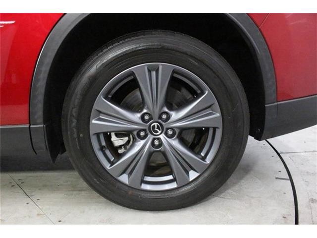 21cd16dc1cac3f04c51e42fa2e40a5a6.jpg