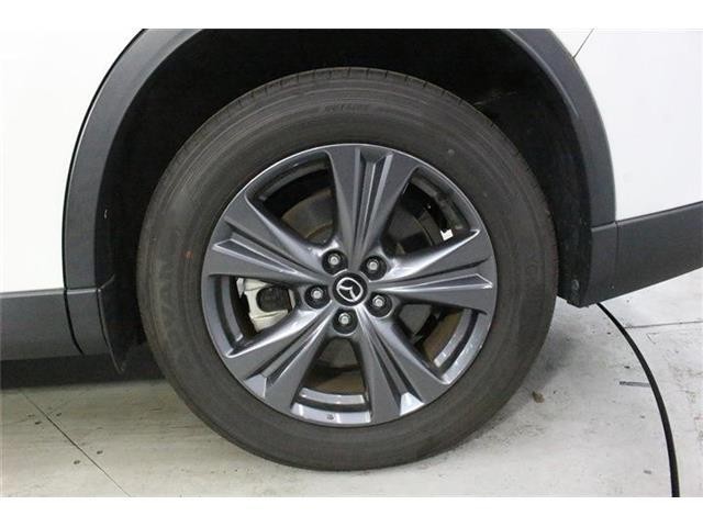 0f92d20e119e5de5fef7bdd8b6cf5015.jpg