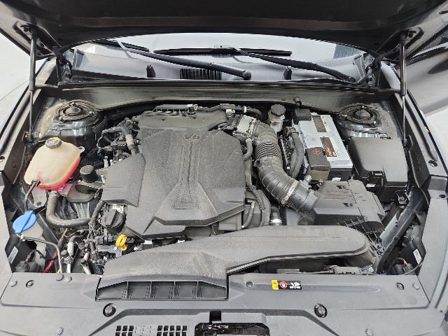 lotterental_111237154_LJk78_2.jpg