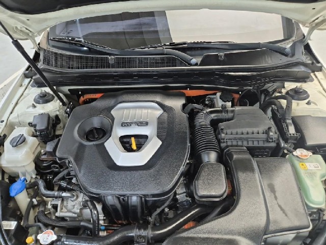 6081500095R5.jpg