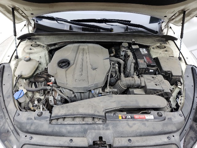 lotterental_22041068_OcPI8_10.jpg