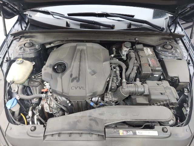 lotterental_091528967_lLm1C_1.jpg