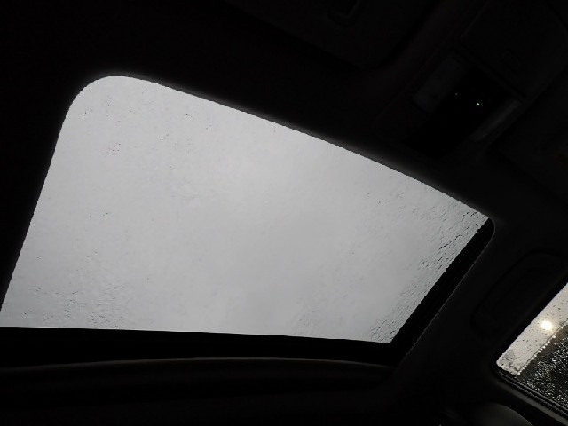 cec0cf93c3cf4159e7810ecfa519d77d.jpeg