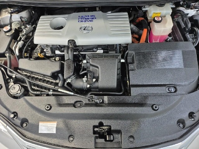 6051501994R5.jpg