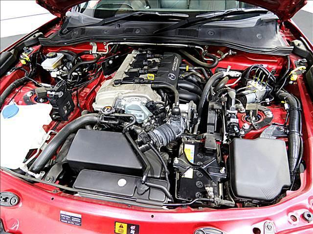 13962643_carP_l_17.jpg