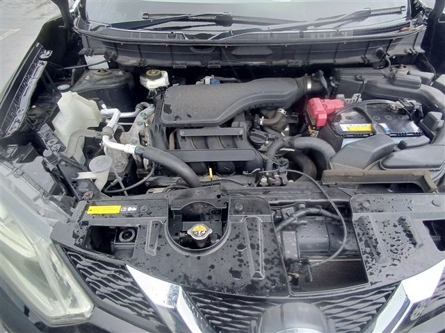 08.jpg