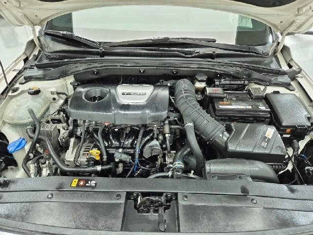 6081000804R5.jpg