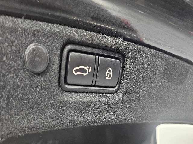 e8d249feb5ba0582140c7bda131ce38f.jpeg