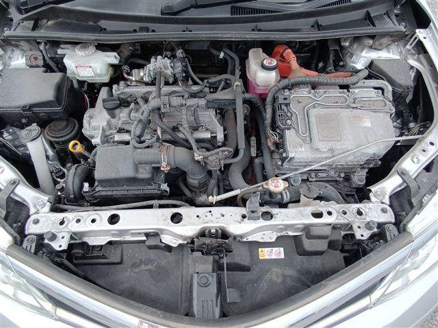08.jpg