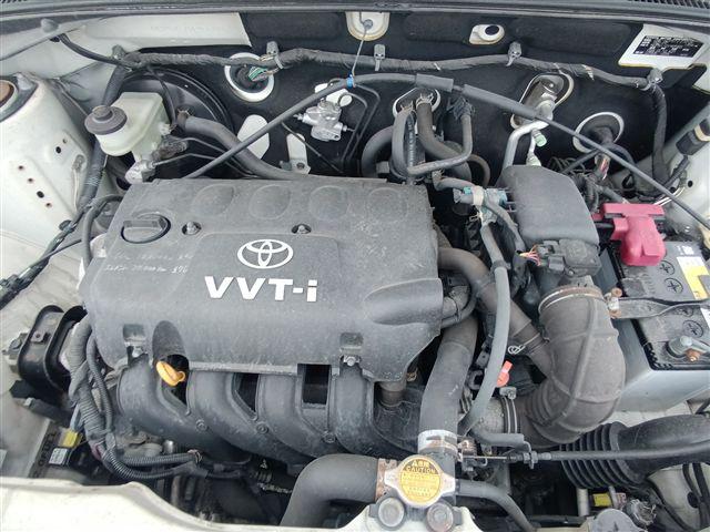 08.jpg