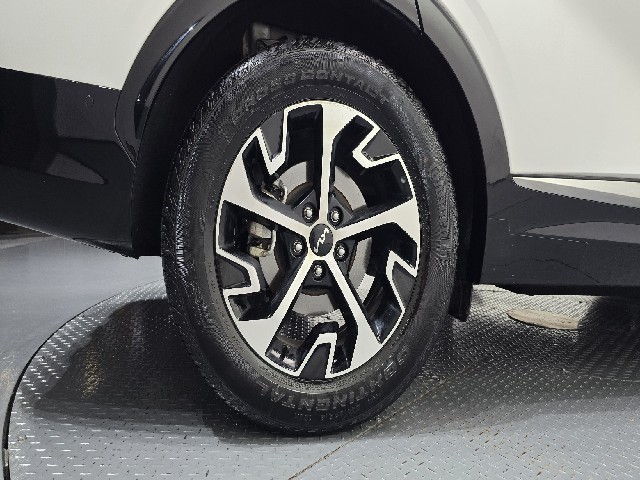 8e9e310d210e4395ea3a3bad35ddfc75.jpeg