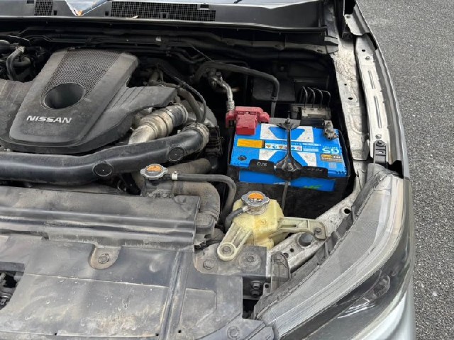 d063ae6610a56c4c2e702498933c2337.jpeg