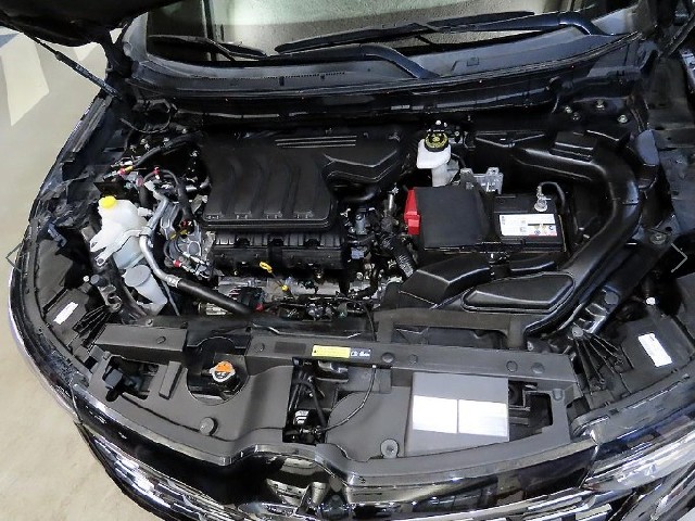ff891afdb612b6774235a6ec1d2036e5.jpeg