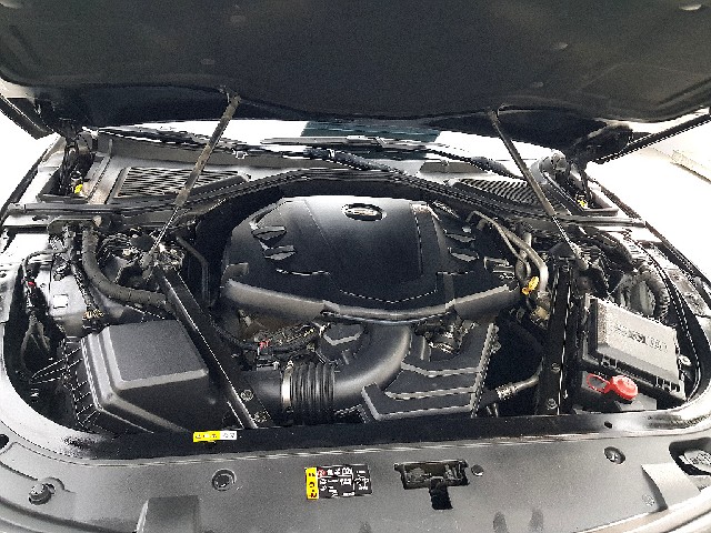 fca45687c2543ac9894cb1473f1a3295.jpeg