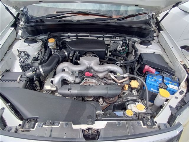 08.jpg