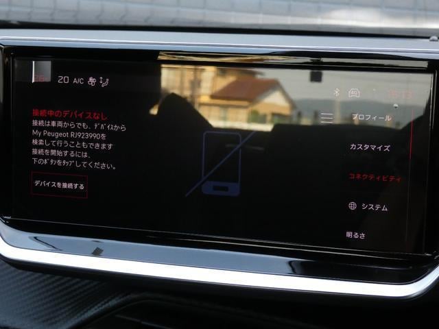 19898429_carP_l_9.jpg