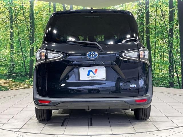 26947169_carP_l_9.jpg