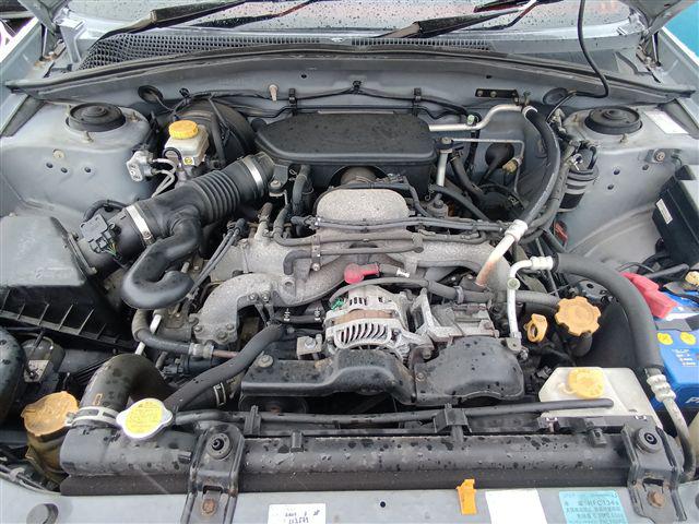 08.jpg