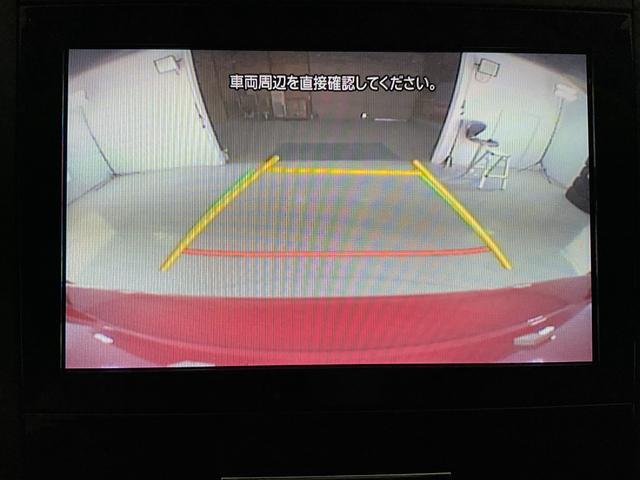 22855031_carP_l_11.jpg