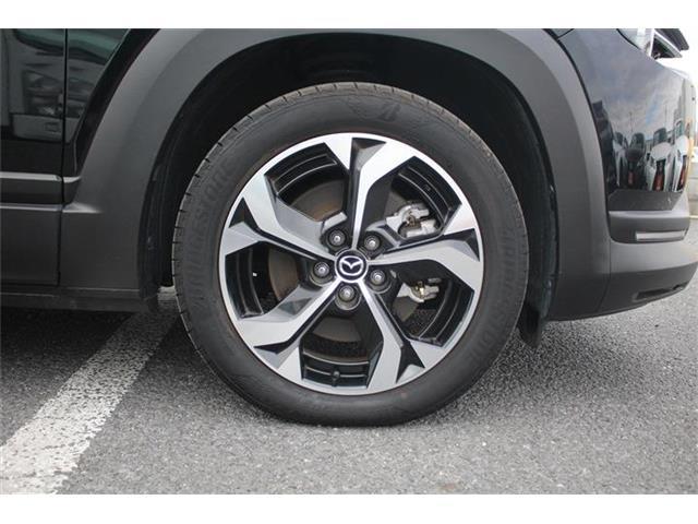 ef295bcdd20e323a65a05ba967163f35.jpg