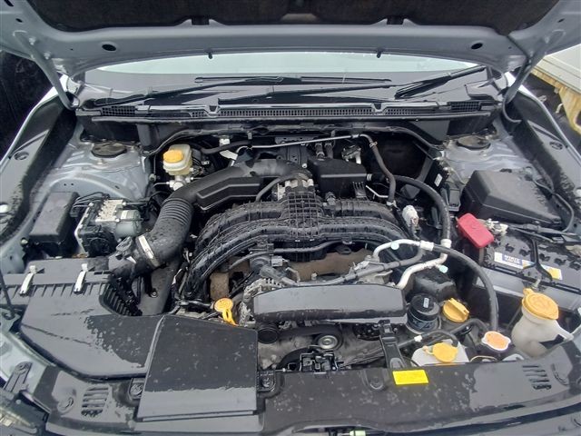 08.jpg