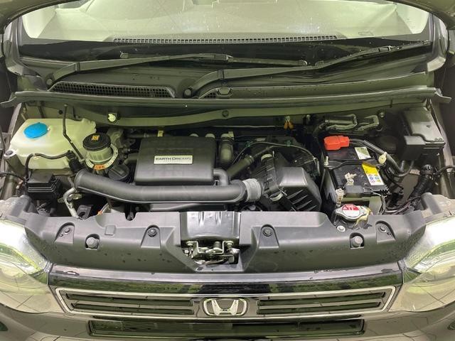 27032372_carP_l_16.jpg