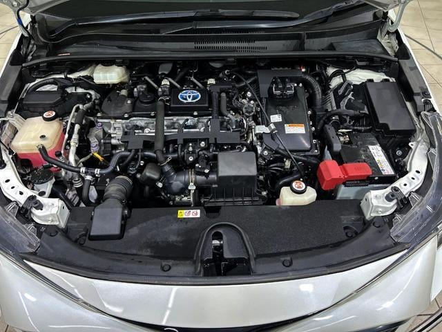 19084645_carP_l_16.jpg