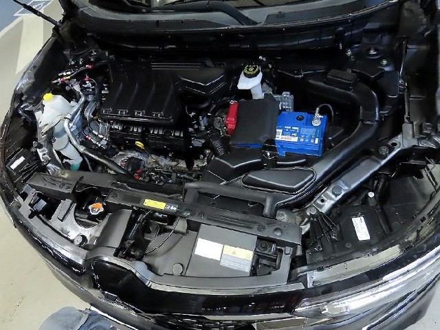 816c92dda7ee12e962b42bbffe14cd8a.jpeg