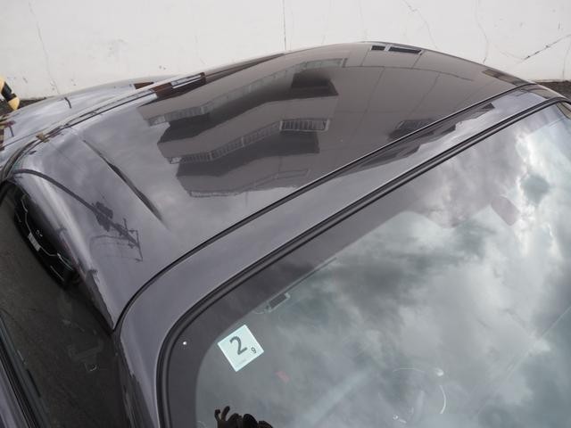 27110116_carP_l_11.jpg