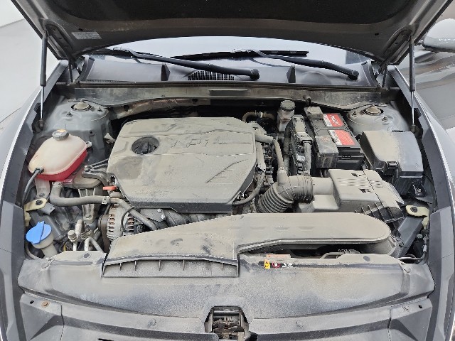 lotterental_161056404_kZbo1_9.jpg