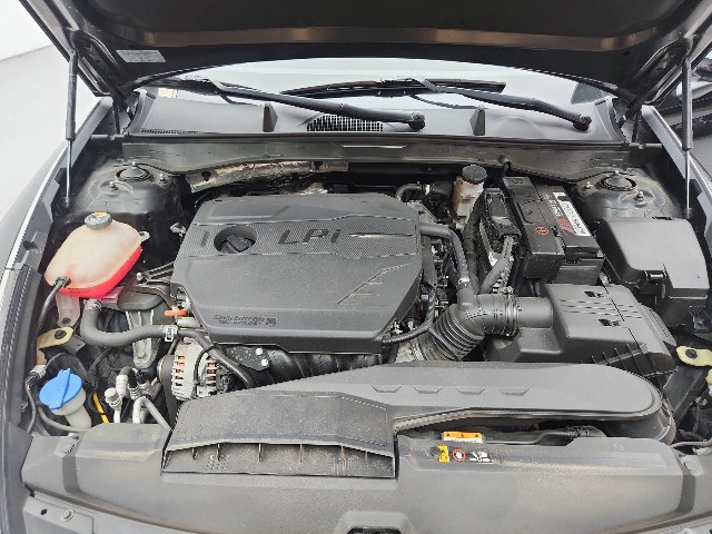 lotterental_174023367_CSyIV_7.jpg