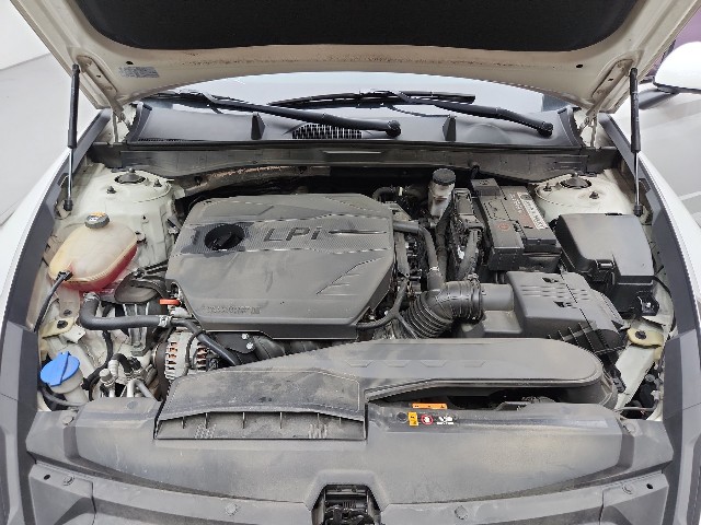 lotterental_101117348_f7Re0_8.jpg