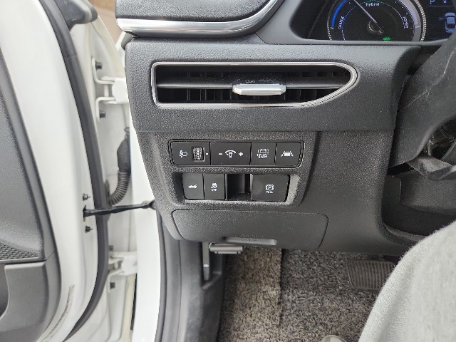 lotterental_172916926_96WVl_5.jpg