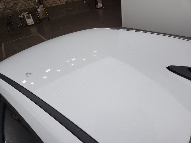 lotterental_101212100_z8Pwr_6.jpg