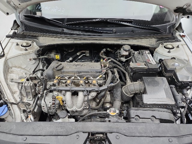 lotterental_101218677_Brwop_8.jpg